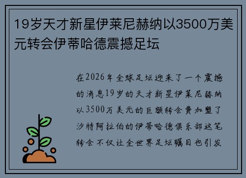 19岁天才新星伊莱尼赫纳以3500万美元转会伊蒂哈德震撼足坛